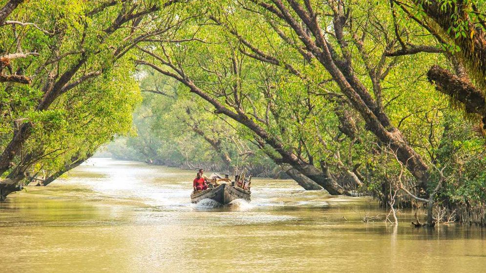 ৩ মাস বন্ধের পর কাল থেকে উন্মুক্ত হচ্ছে সুন্দরবন