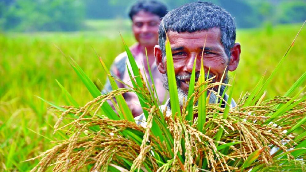 বন্যায় ক্ষতিগ্রস্ত ২ হাজার কৃষক পেলেন নগদ অর্থ, বীজ ও সার