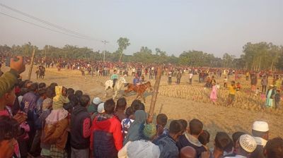 বোদায় ঐতিহ্যবাহী ঘোড়দৌড় প্রতিযোগিতা দেখতে হাজারো মানুষের ভিড়