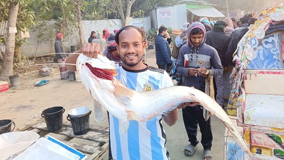 মানিকগঞ্জে পদ্মায় বড়শিতে ধরা পরল ৯ কেজি ওজনের বোয়াল