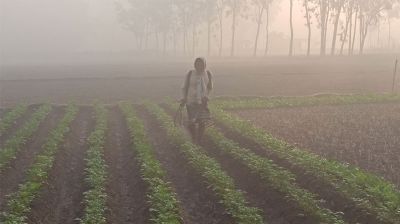 পঞ্চগড়ের তাপমাত্রা নামল ৭ ডিগ্রিতে